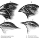Image for article titled 5 Historical Myths About Real Scientific Discoveries